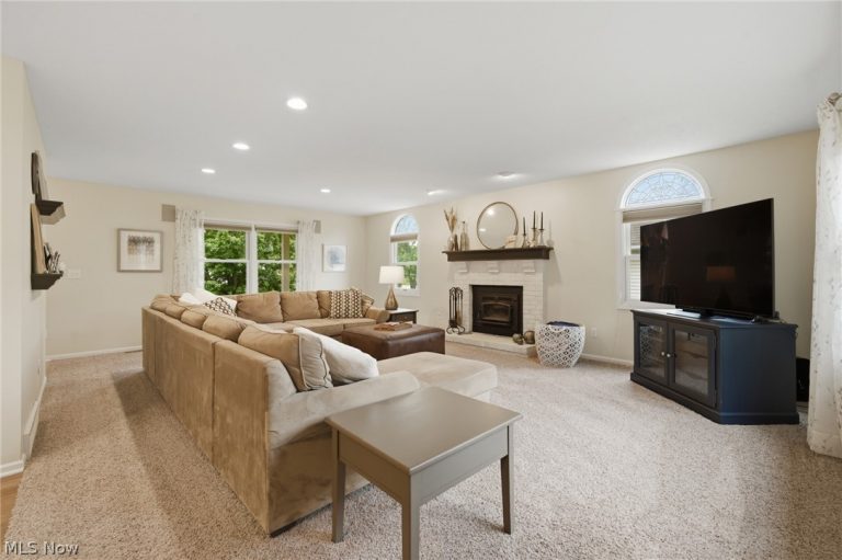10376 Lake Meadows Drive, Strongsville, OH - Photo 8