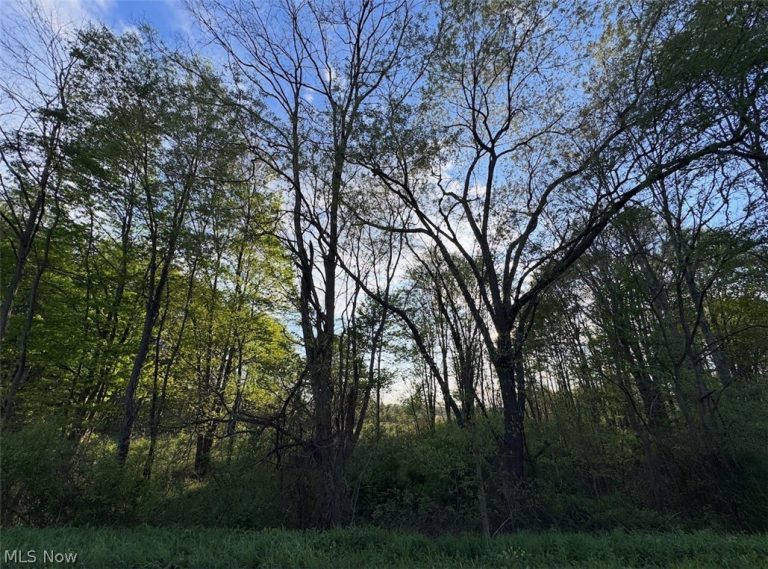 V-L Parkman Road, Windham, OH - Photo 8