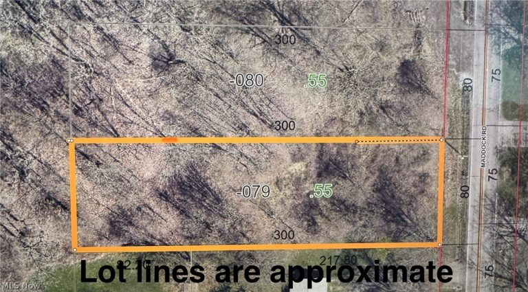 Lot B Maddock Road, North Ridgeville, OH, 44039