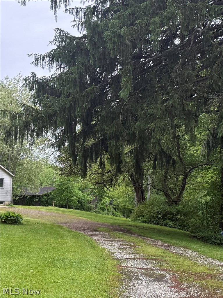 11165 Peck Road, Mantua, OH - Photo 5