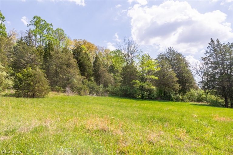 9651 Reno Lane, Hillsboro, OH - Photo 3