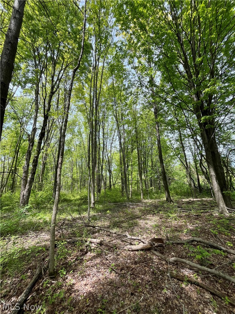 Bates Road, Madison, OH - Photo 2