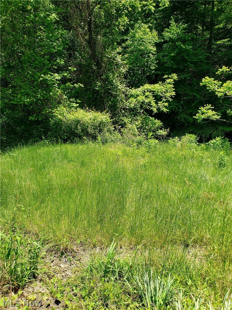 1112 Swann Rd, Charleston, WV - Photo 3