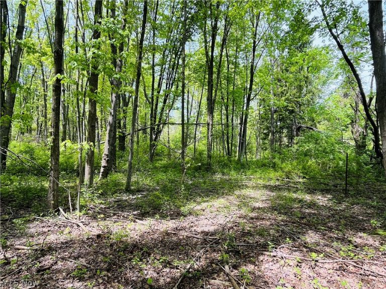 Bates Road, Madison, OH, 44057