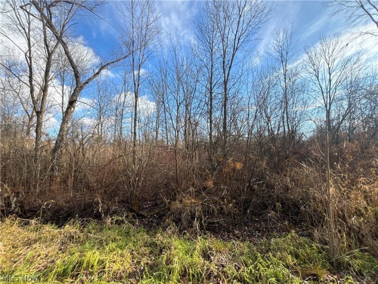 10785 Bell Road, Newbury, OH - Photo 3