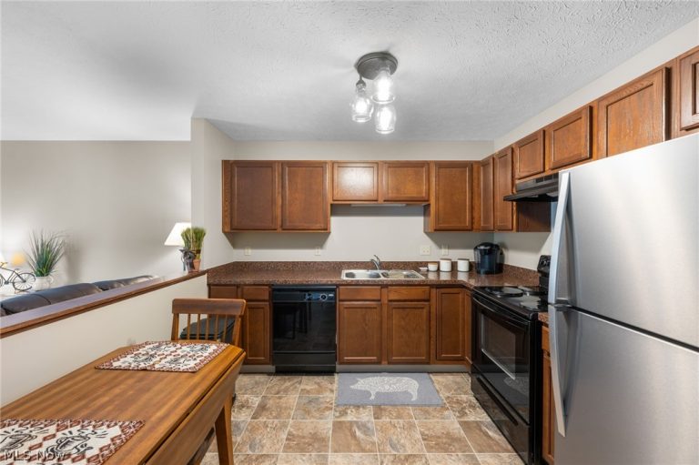 342 Angela Lane, Avon Lake, OH - Photo 4