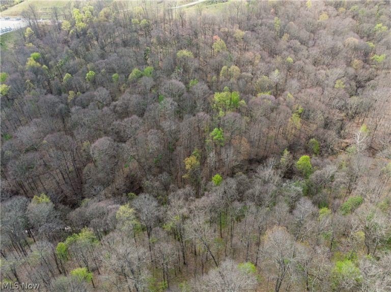 Captina Highway Road, Alledonia, OH - Photo 3