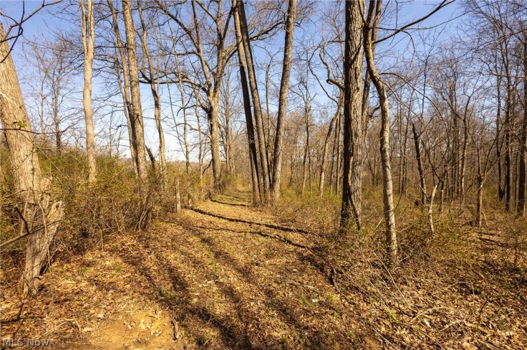 Lambert Road, Roseville, OH - Photo 8