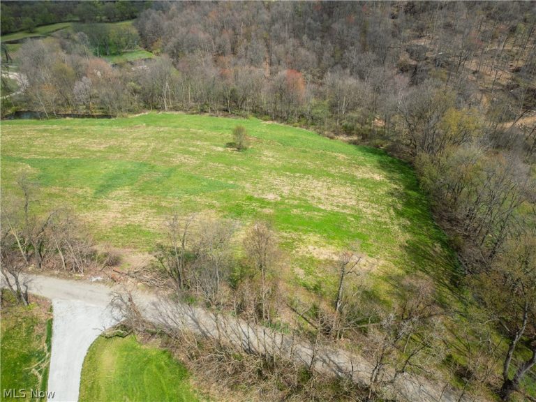 8480 Possum Hollow Road, Dundee, OH - Photo 5