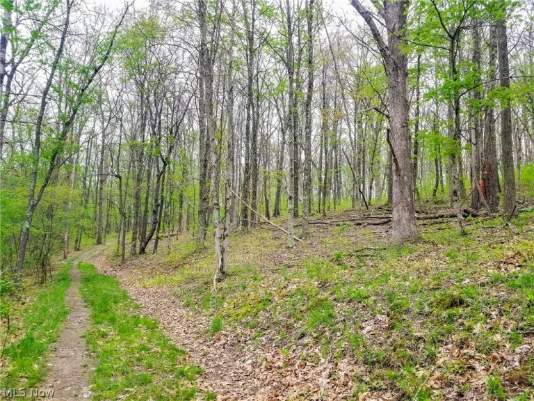 17081 State Route 644, Salineville, OH - Photo 6