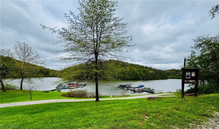 71100 Skyline Drive, Piedmont, OH - Photo 4