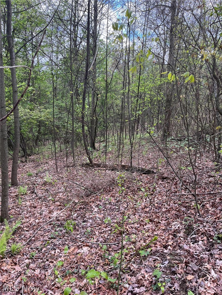 Sandy Ridge Road, Tippecanoe, OH - Photo 2