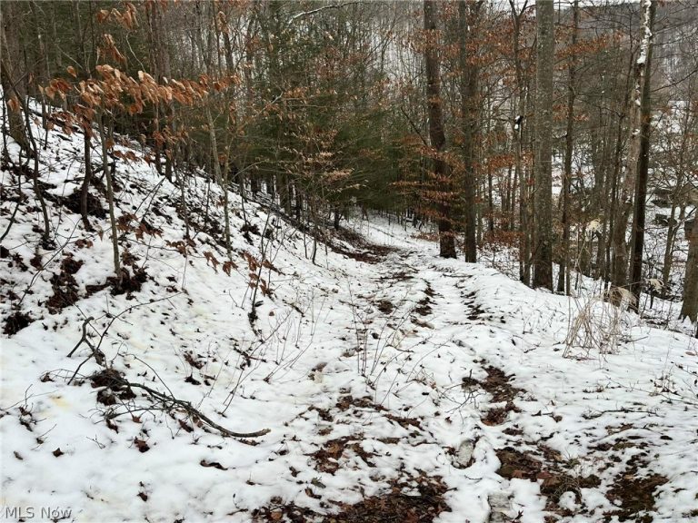 Rt 29/1 Grannies Creek RD., Clendenin, WV - Photo 3