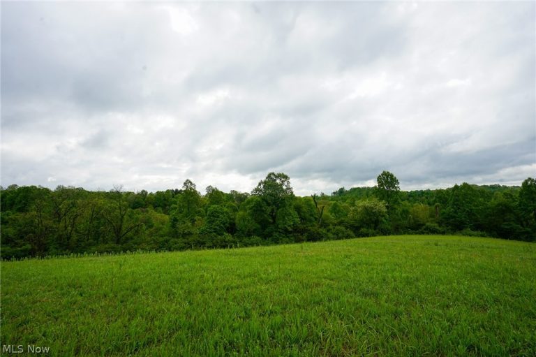 Van Fossen Ln, Chesterhill, OH - Photo 4