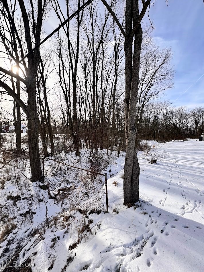 V/L Hartman Road, Wadsworth, OH - Photo 2