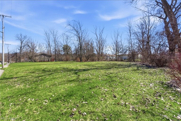 2048 Buchtel Street, Twinsburg, OH - Photo 5