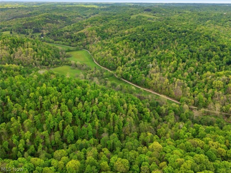 Pratts Run Road, Clarington, OH - Photo 8