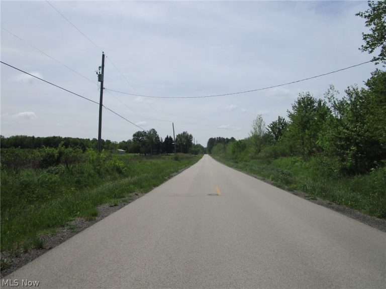 VL Doyle Road, Jefferson, OH - Photo 2