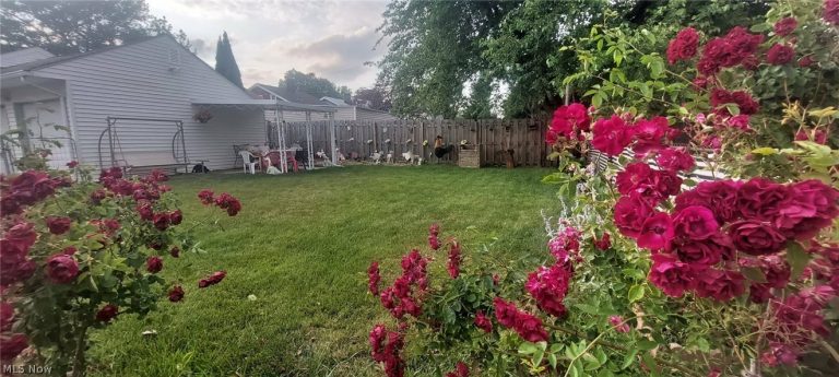 3777 132nd Street, Cleveland, OH - Photo 3
