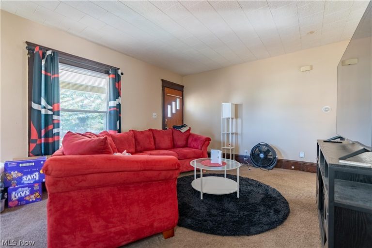 206 Ingram Avenue, Canton, OH - Photo 8