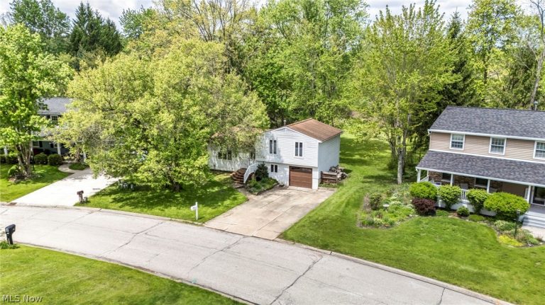 3717 Sea Ray Cove, Aurora, OH - Photo 3