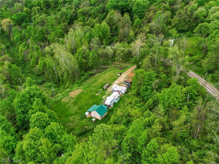 49250 Cowgill Road, Sarahsville, OH - Photo 6
