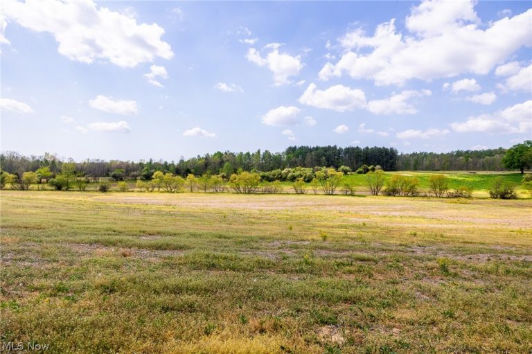 9651 Reno Lane, Hillsboro, OH - Photo 4