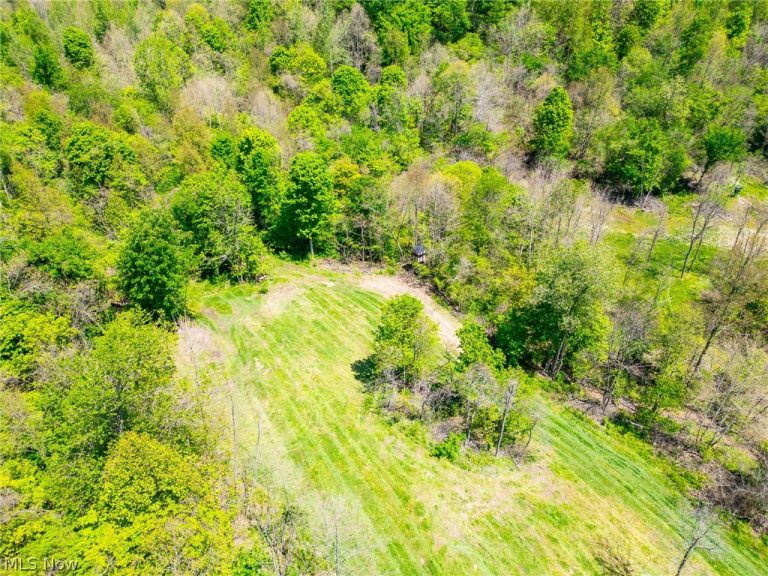 37500 Goose Run Road, Dexter City, OH - Photo 5