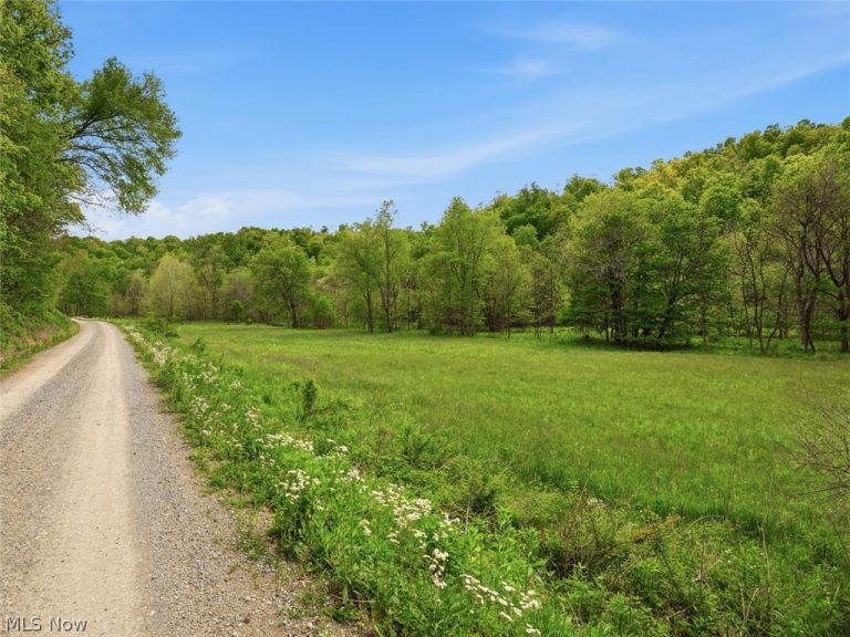 Pratts Run Road, Clarington, OH - Photo 2