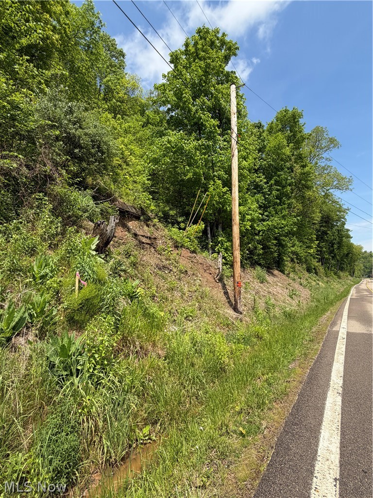 Harrietsville SR 145 Road, Lower Salem, OH - Photo 6
