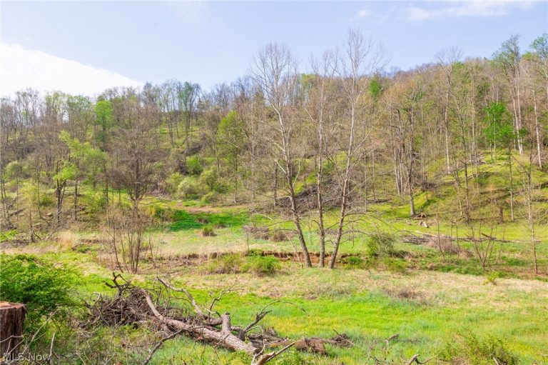 Twp Rd 63 Deans Fork #3, Whipple, OH - Photo 2