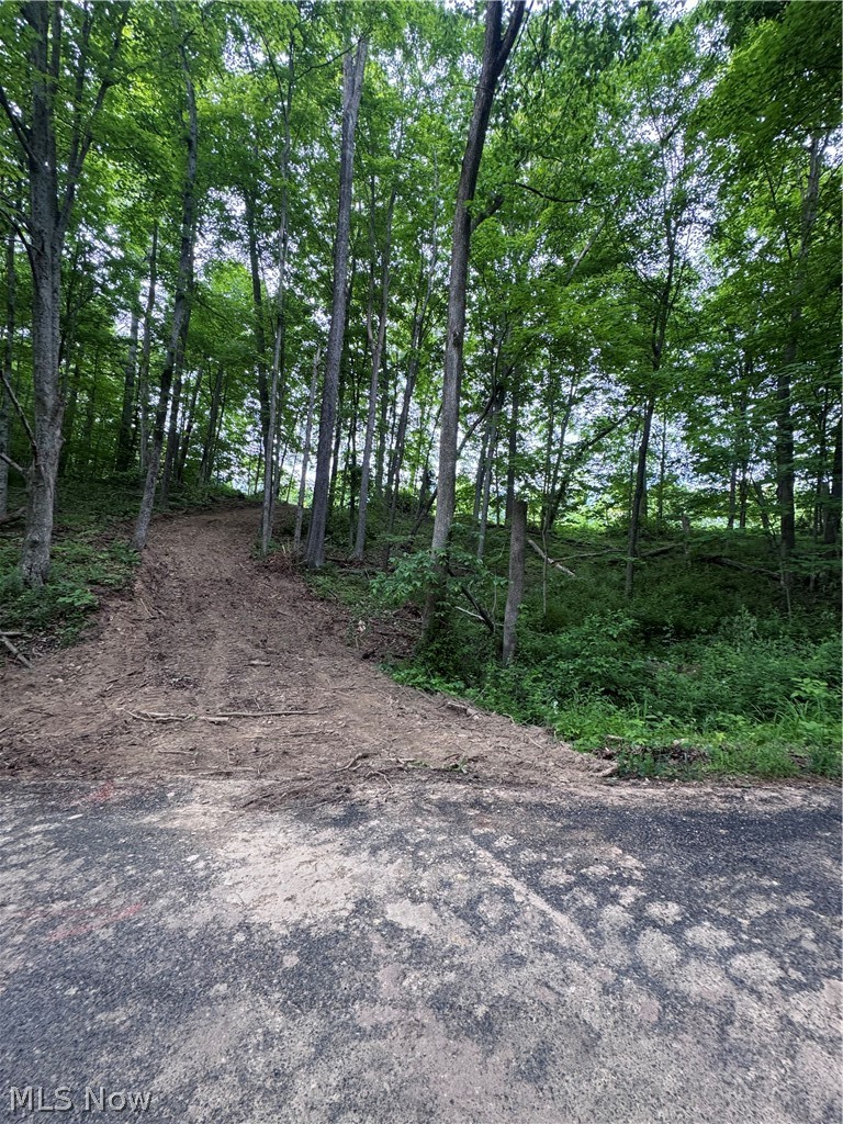 Walker Hill Road #10+-, Stockport, OH
