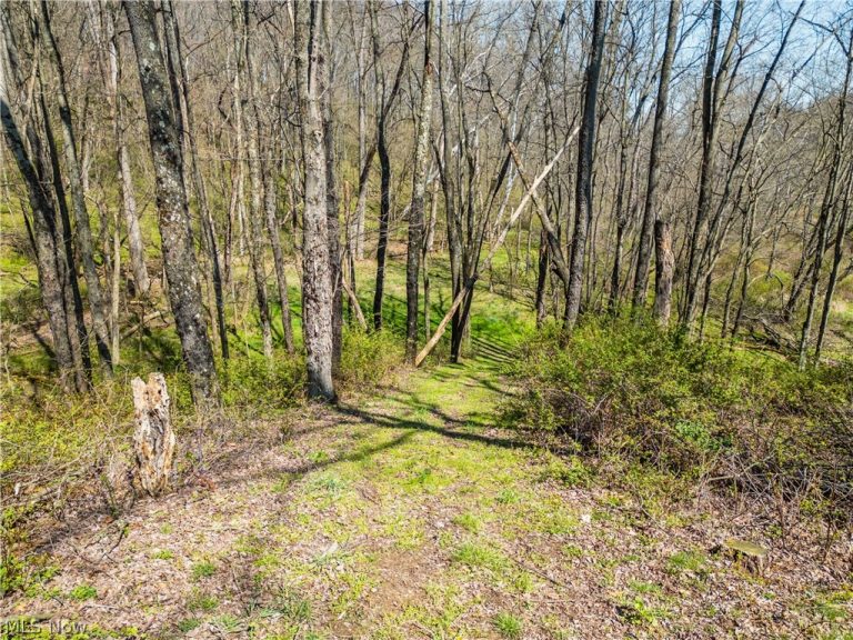 7313 County Road 22, Lakeville, OH - Photo 5