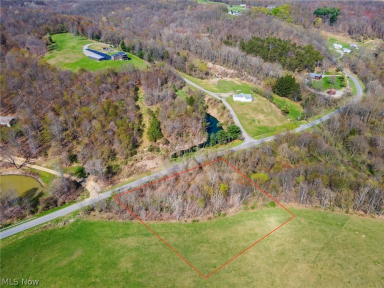 38894 Mattix Road, Lisbon, OH - Photo 3