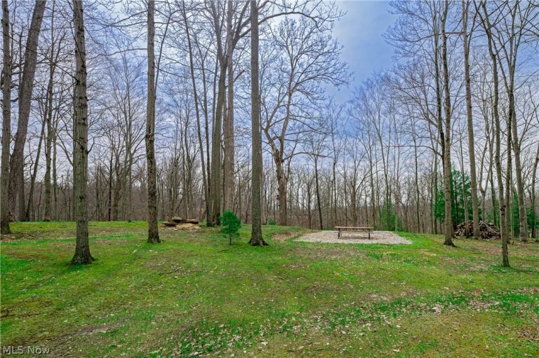 389 Bentleyville Road, Moreland Hills, OH - Photo 3