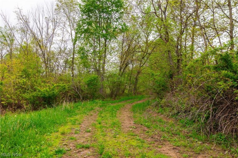 53320 County Road 425, Fresno, OH - Photo 8
