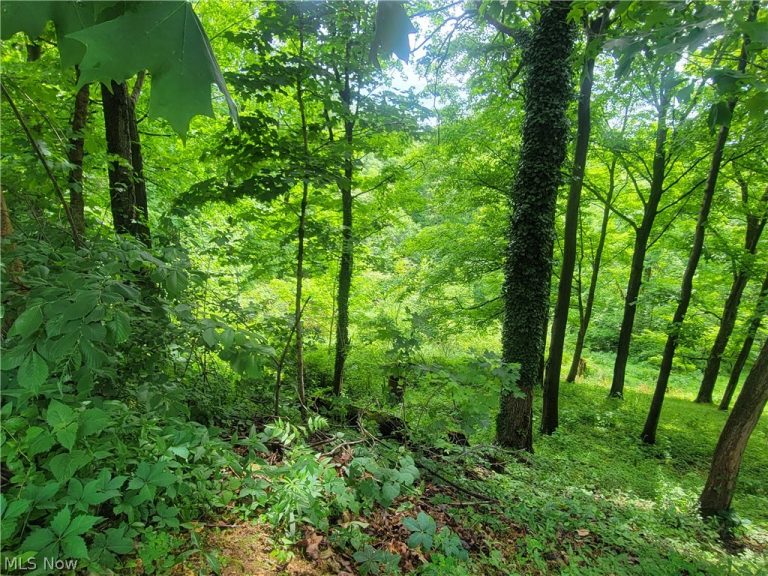 185 Belavista Drive, Marietta, OH - Photo 8