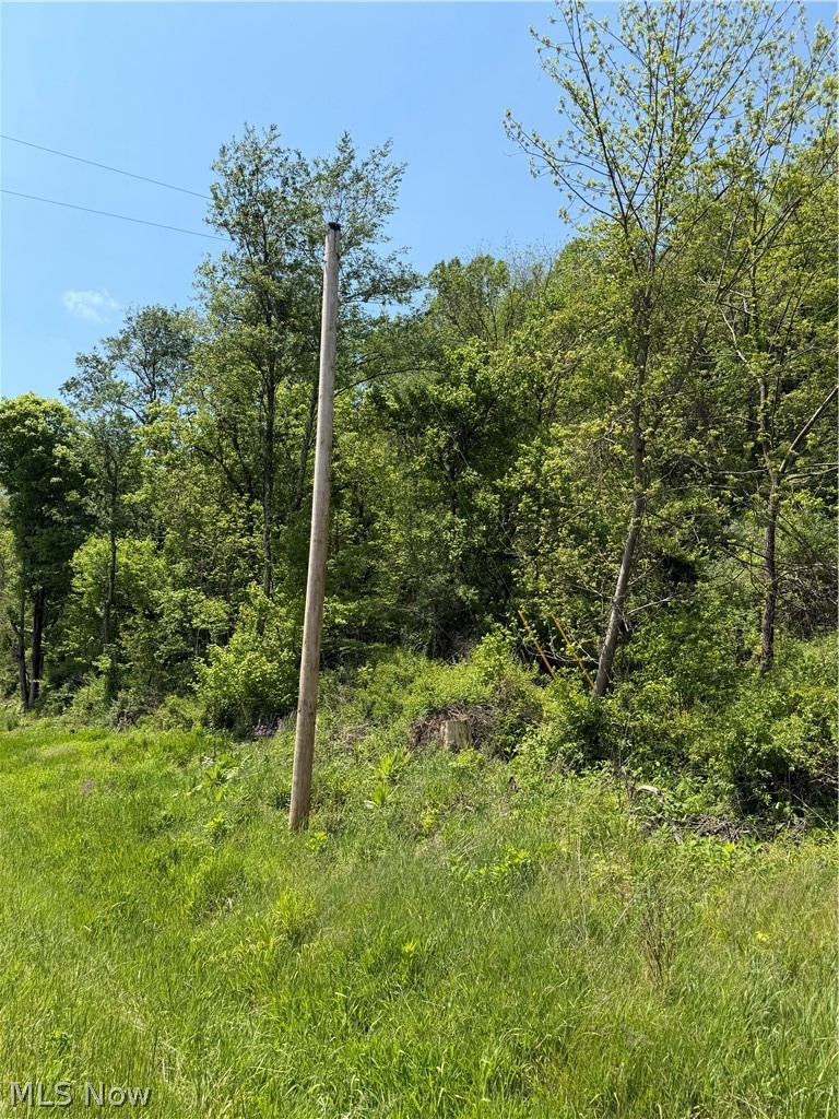Harrietsville SR 145 Road, Lower Salem, OH - Photo 5