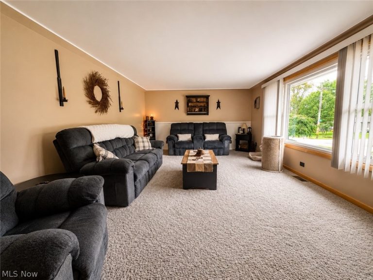 337 Bell Avenue, Columbiana, OH - Photo 8