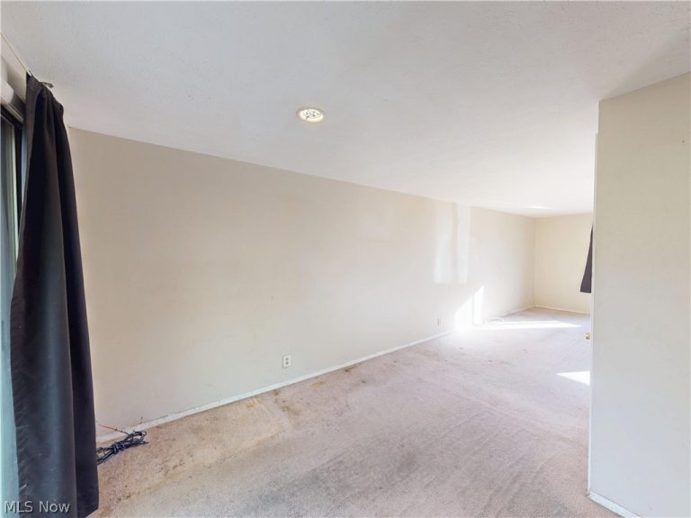 1651 Mentor Avenue #808, Painesville, OH - Photo 5