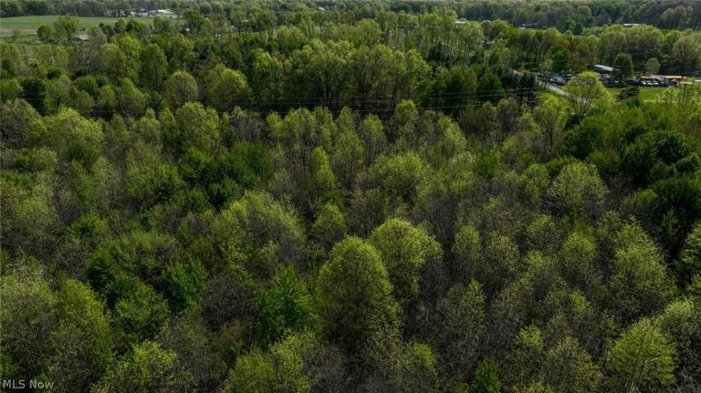 Oyster Road, North Benton, OH - Photo 3