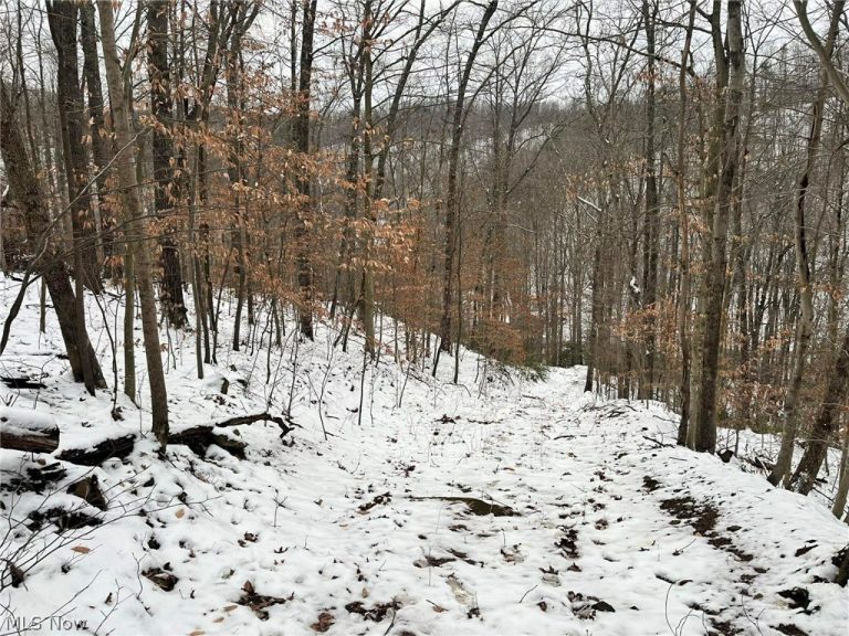 Rt 29/1 Grannies Creek RD., Clendenin, WV - Photo 5