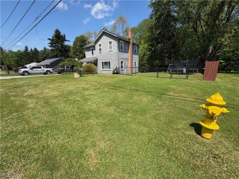 151 Pine Street, Leetonia, OH - Photo 2