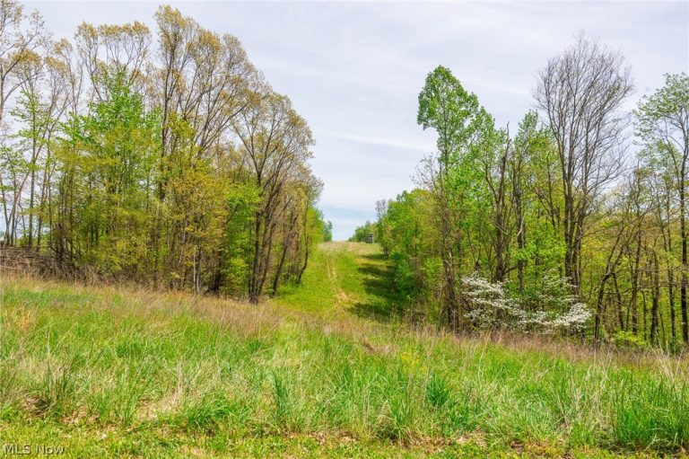 6268 Kings Ridge Road, Newcomerstown, OH - Photo 2