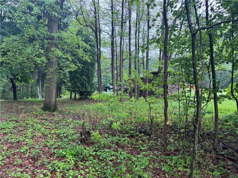 12797 Oakwood Avenue, Uniontown, OH - Photo 8