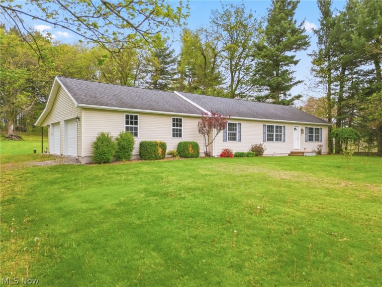 9084 Plymouth Street, Hanoverton, OH, 44423