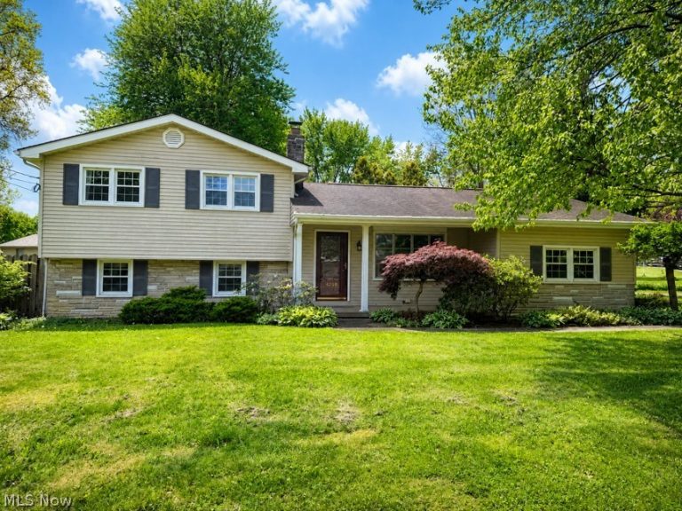 4259 Carlisle Avenue, Youngstown, OH, 44511