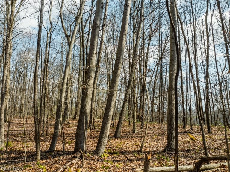 Captina Highway Road, Alledonia, OH - Photo 5