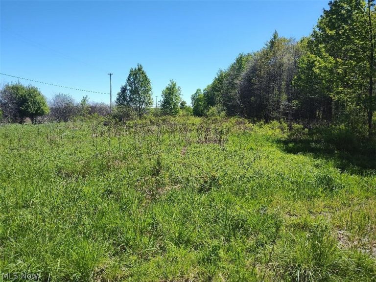 3082 Fobes Road, Rock Creek, OH - Photo 3