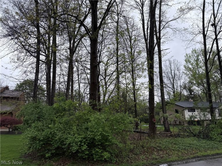 Vincent Road, Silver Lake, OH - Photo 4